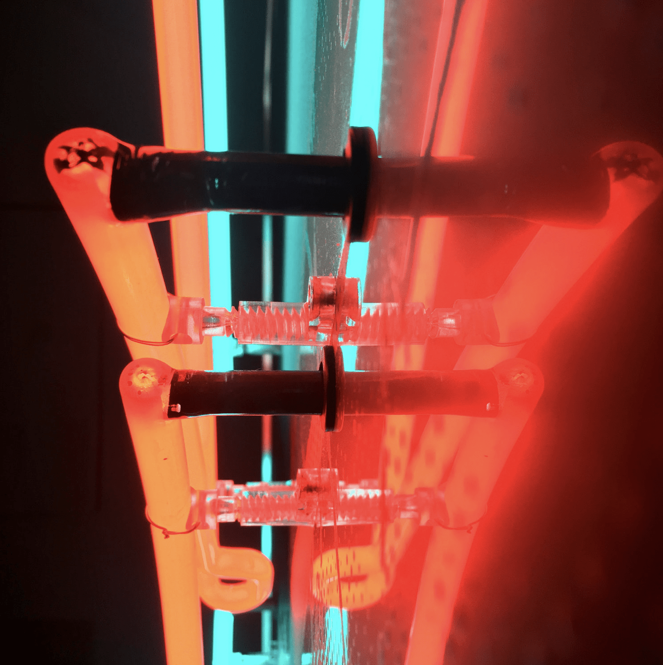 Labyrinth Art Gallery Brighton - Neon Art