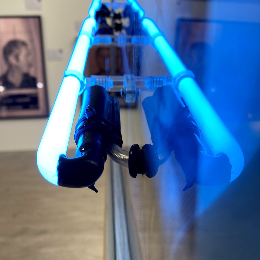 "Voulez Vous" ABBA by Louis Sidoli neon detail