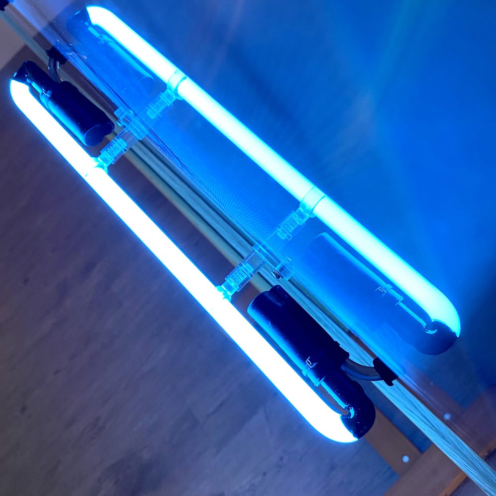 "Voulez Vous" ABBA by Louis Sidoli neon detail