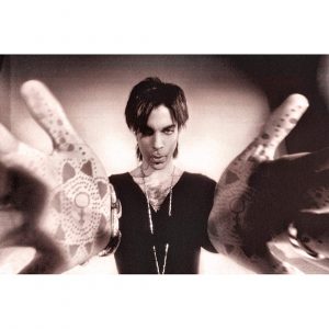 Prince No1 by Steve Parke