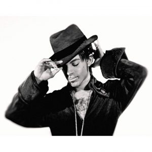 Prince No8 by Steve Parke