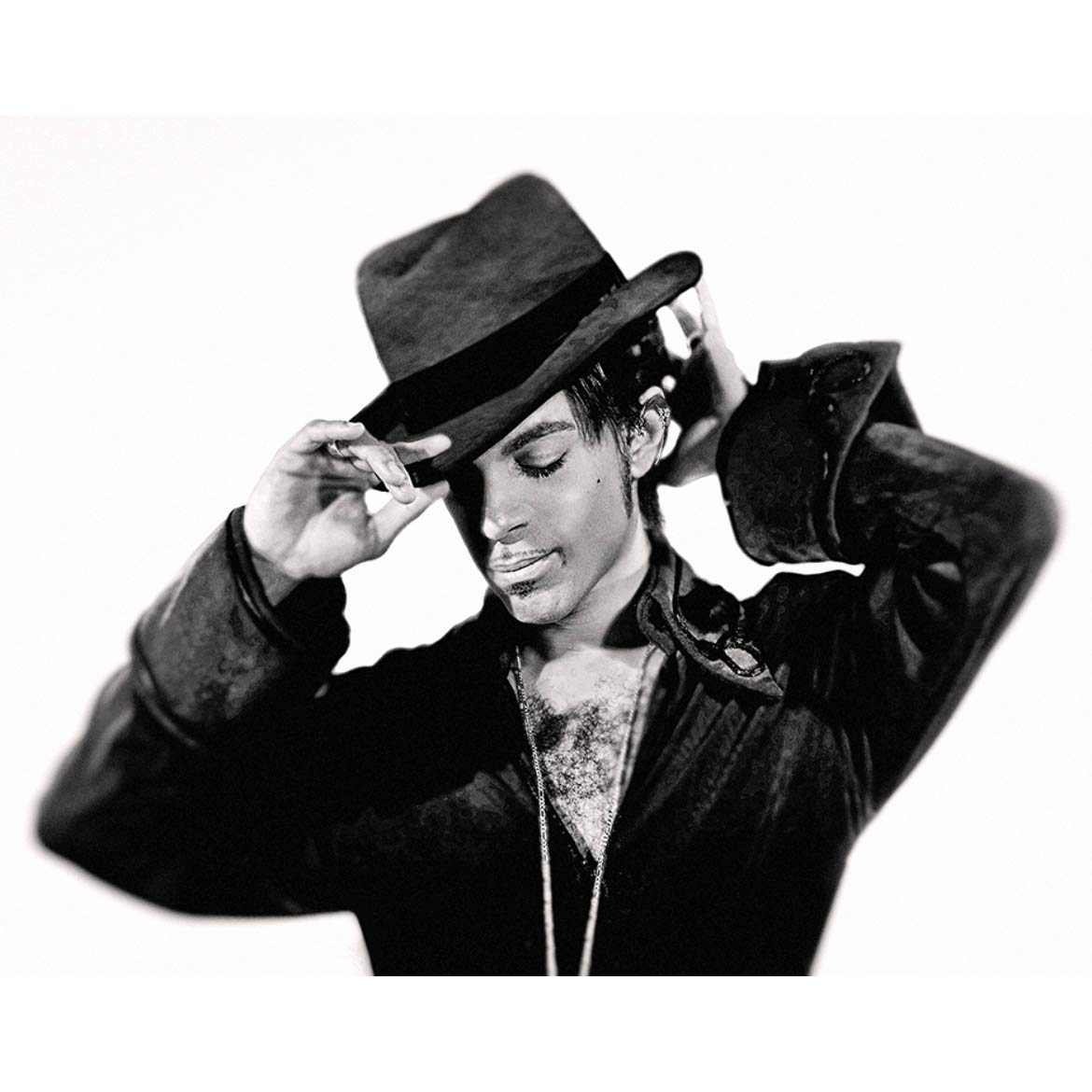 Prince No8 by Steve Parke