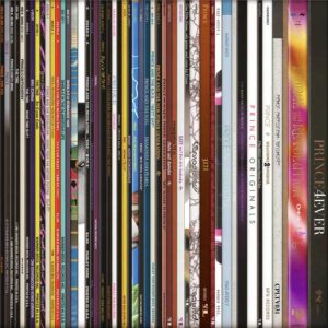 Keith Haynes: Spines #9 Prince (aluminium dibond under perpex.