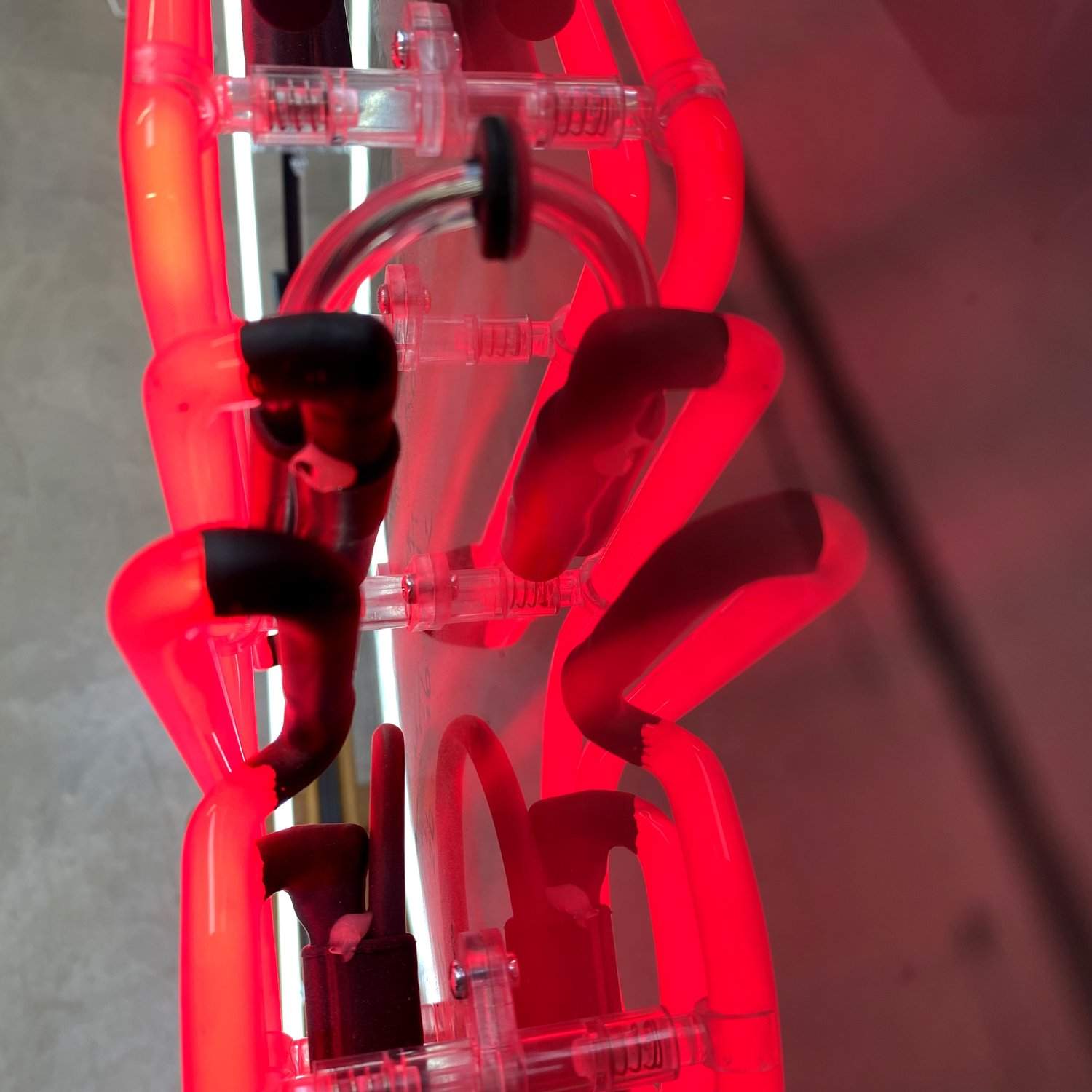 "The Visitor" David Bowie (Rose Gold, Red + White Neon) Neon and aluminium artwork by Louis Sidoli