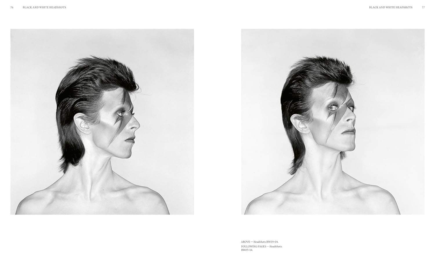 Aladdin Sane 50 Years Book