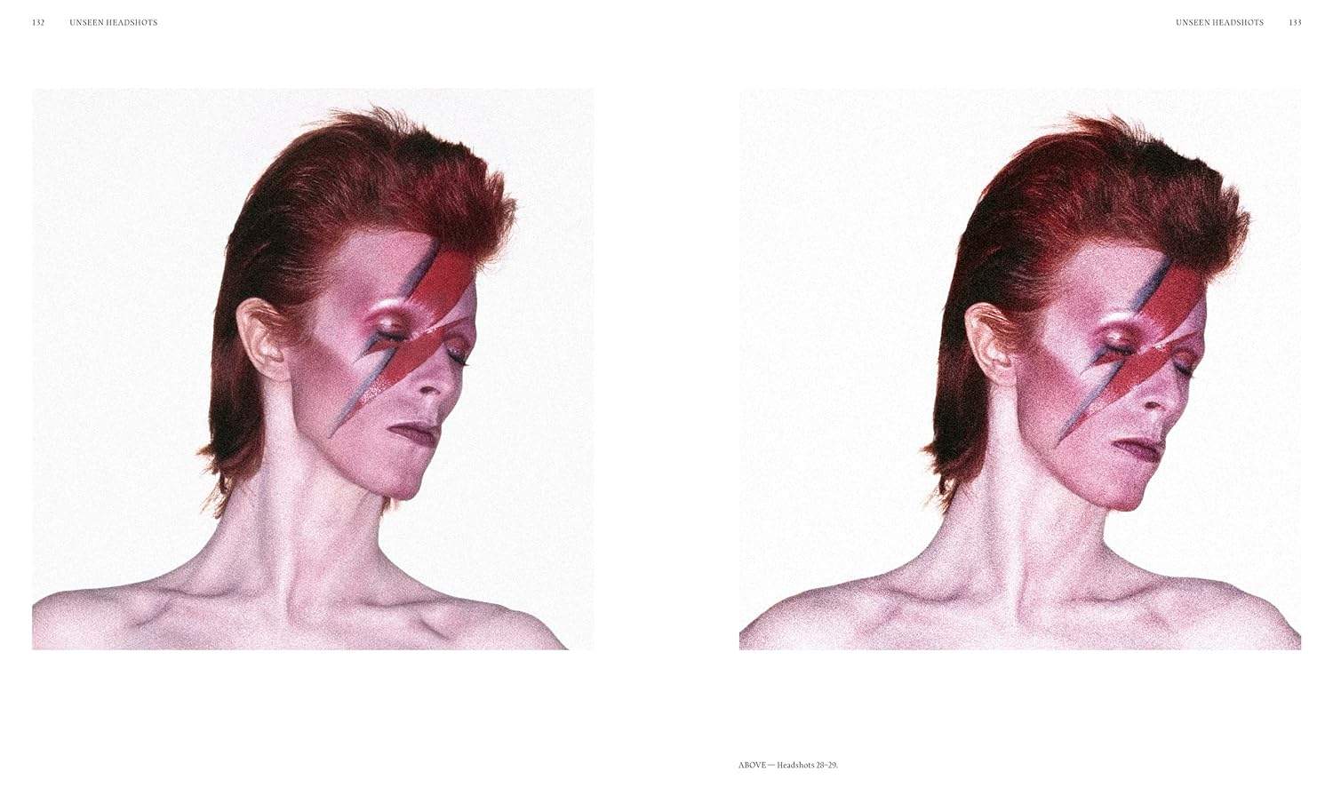 Aladdin Sane 50 Years Book