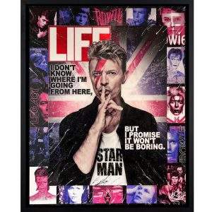 David Bowie "Starman - Life" by Mr Sly