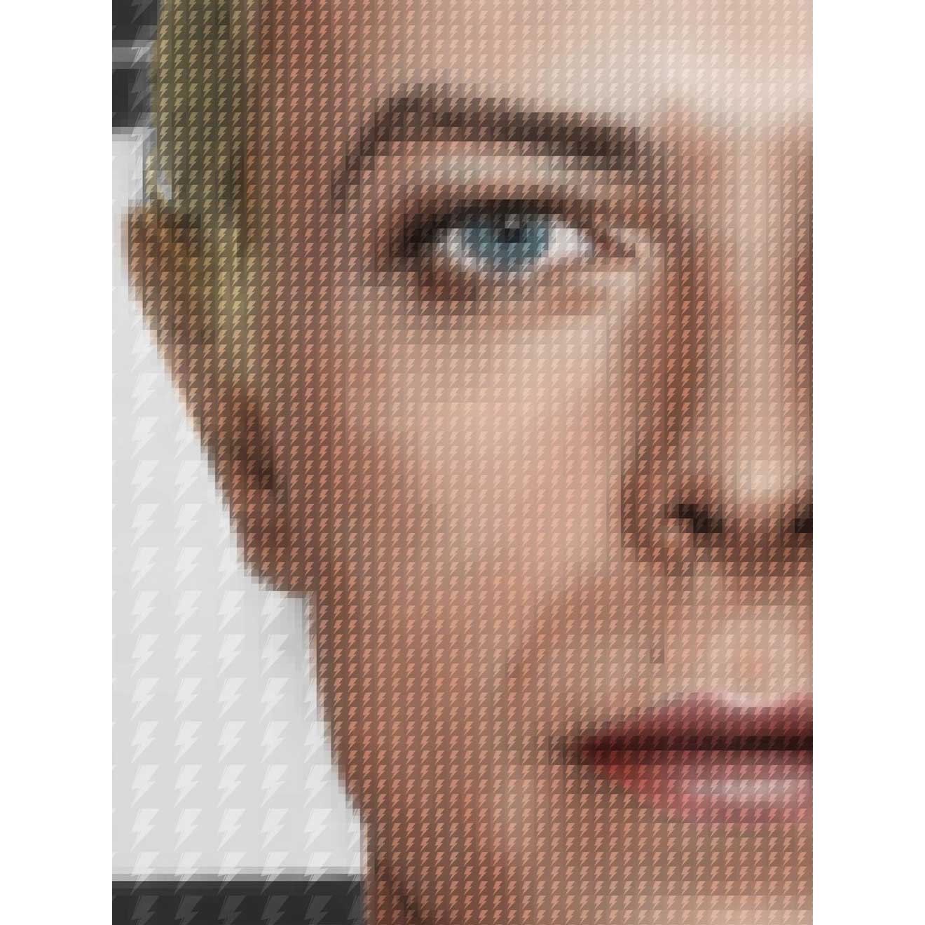 David Bowie Mugshot by Nick Holdsworth (Deluxe Acrylic)