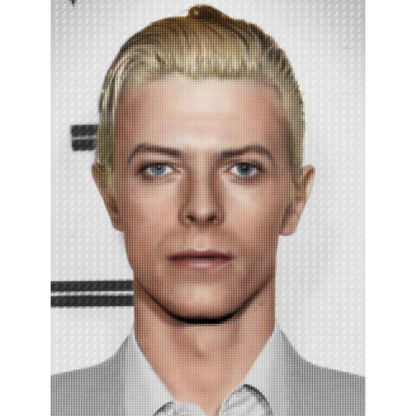 David Bowie Mugshot by Nick Holdsworth (Deluxe Acrylic)