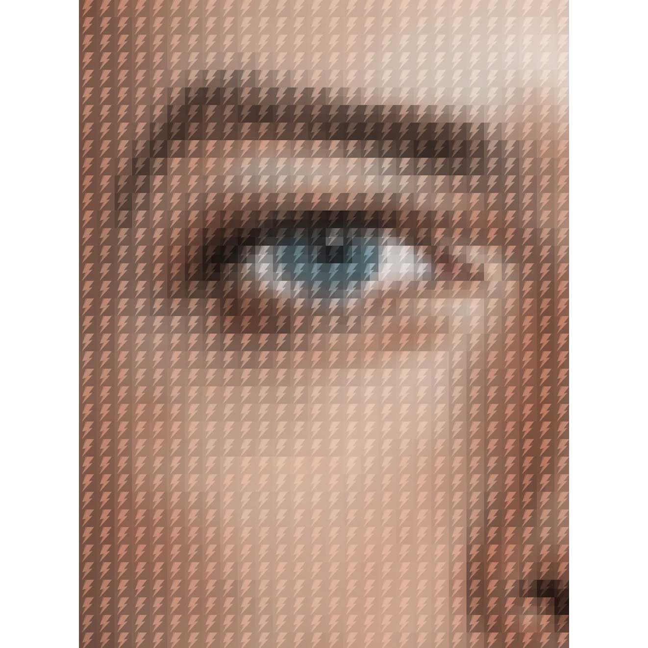 David Bowie Mugshot by Nick Holdsworth (Deluxe Acrylic)