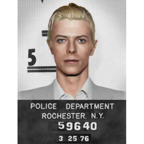David Bowie Mugshot by Nick Holdsworth (Deluxe Acrylic)